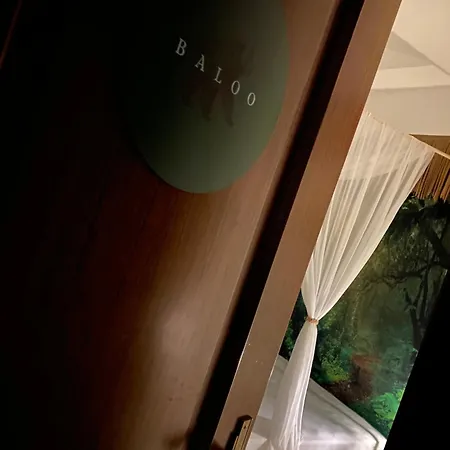 Jungle - House Of Wellness *