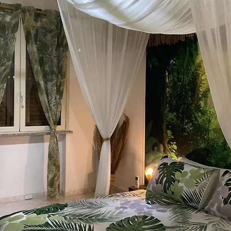 Jungle - House Of Wellness * Rosolini