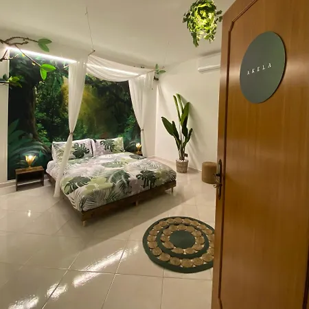 Jungle - House Of Wellness 펜션 *