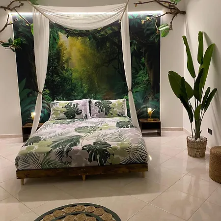 Jungle - House Of Wellness *
