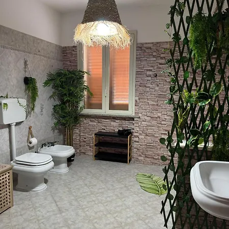 Jungle - House Of Wellness * Rosolini