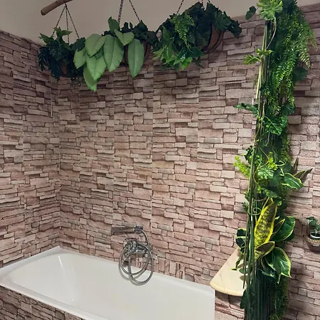Holiday home Jungle - House Of Wellness *